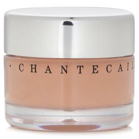 CHANTECAILLE - Future Skin Oil Free Gel Foundation - Ivory 1402 30g/1oz